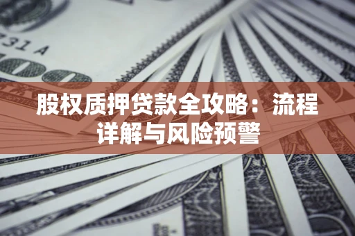 北京股权质押贷款全攻略：流程详解与风险预警