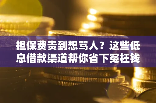 北京担保费贵到想骂人？这些低息借款渠道帮你省下冤枉钱