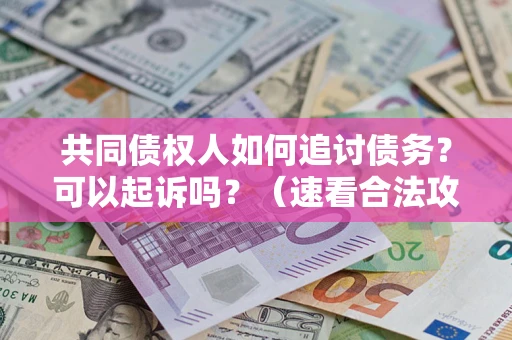 北京共同债权人如何追讨债务？可以起诉吗？（速看合法攻略）